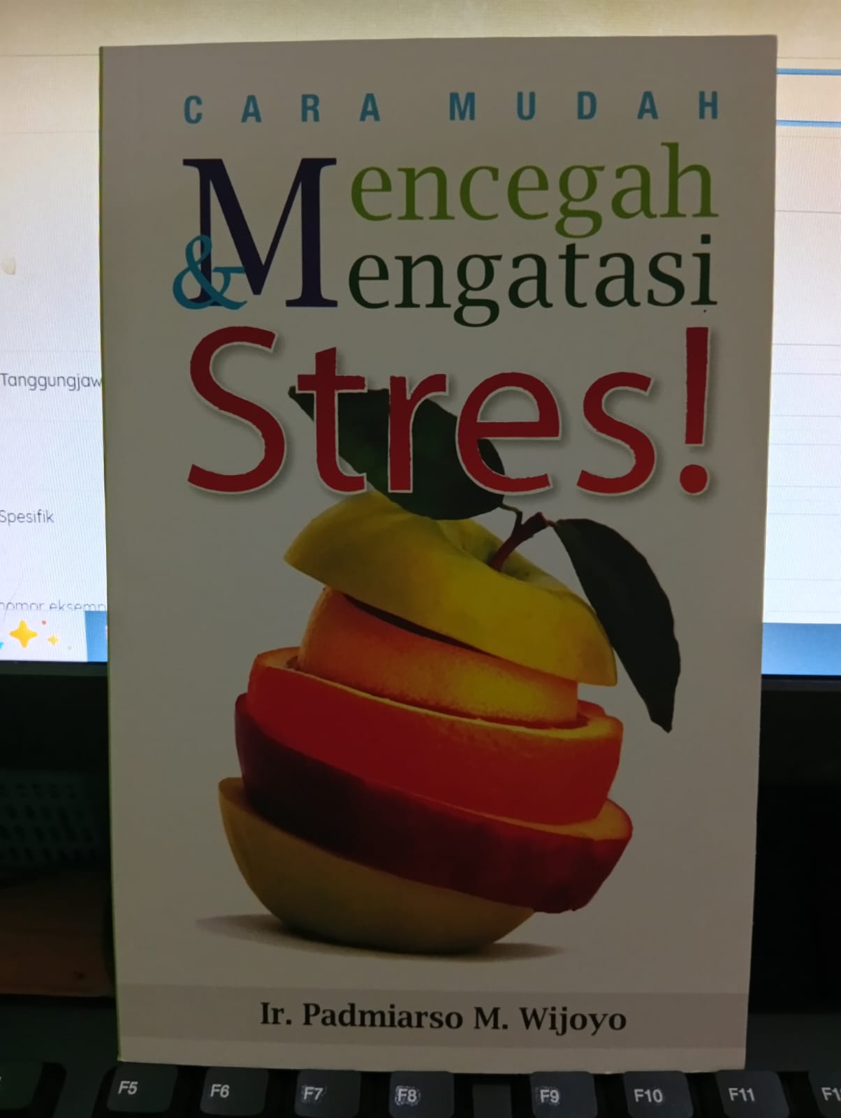 CARA MUDAH MENGATASI STRES!