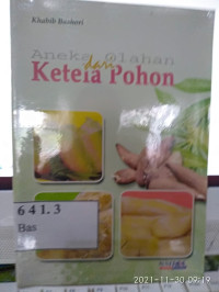 Image of Aneka Olahan Ketela Pohon