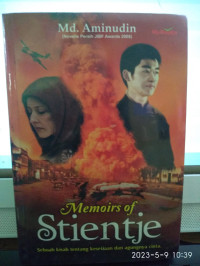 Image of Memories Steintje